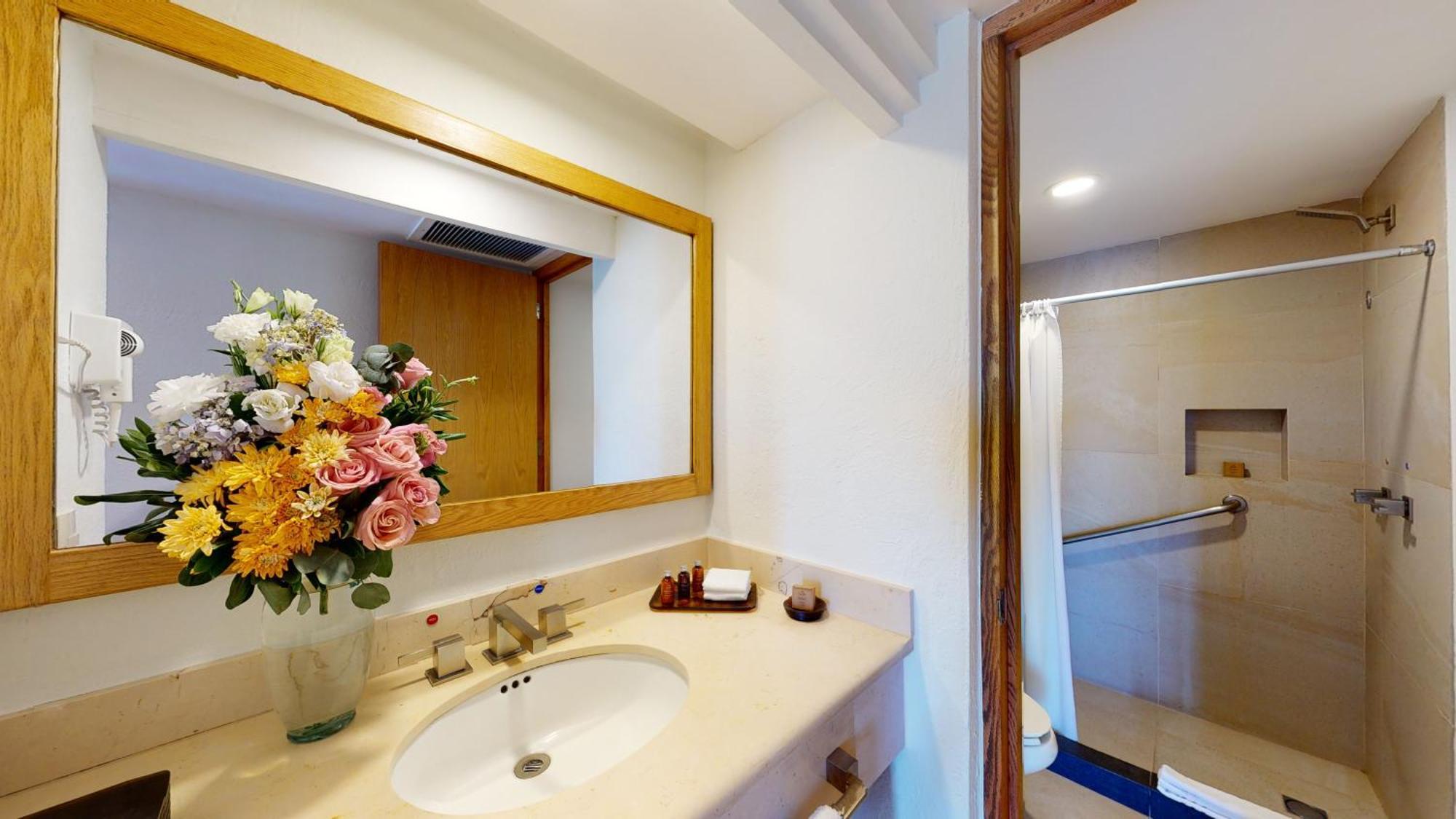 Classic Accessible King Room Terrace Garden View Mobility Access